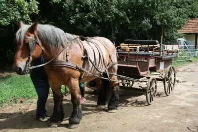 Portes ouvertes "Le cheval d'Avril"